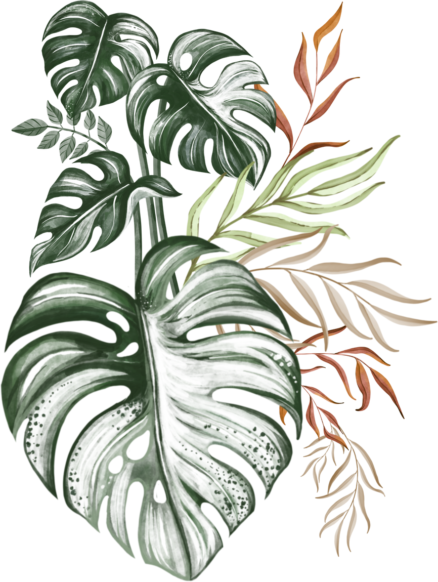 Monstera watercolor